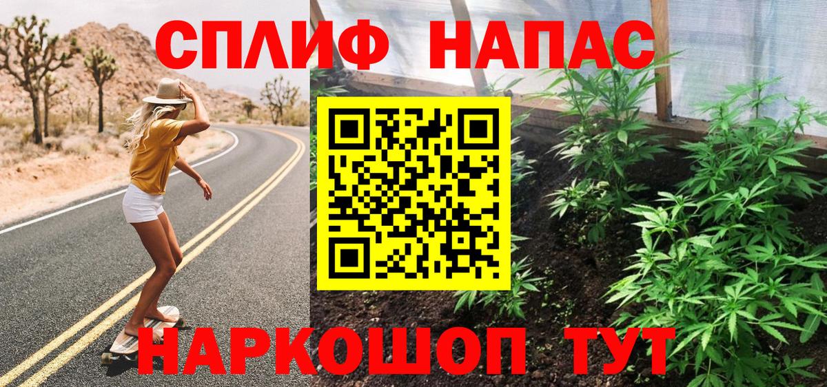 Мурино  Конопля планчик  Вход с VPN  Конопля конопля  Конопля гибрид 